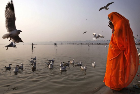 Pictures of the Week