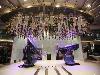  Luxury Ahoy - Aboard the world's smartest cruise ship