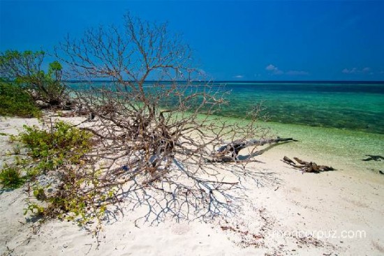 Sulu Islands: The last frontier