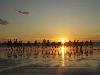 Sun and Fun Down Under - The best Aussie beaches
