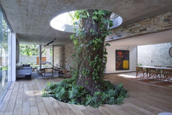 Save Trees Trees in the middle of the house 
