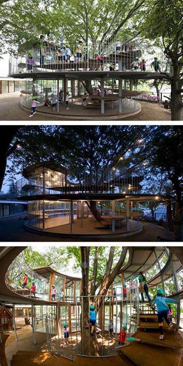Save Trees Trees in the middle of the house 