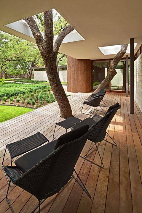 Save Trees Trees in the middle of the house 