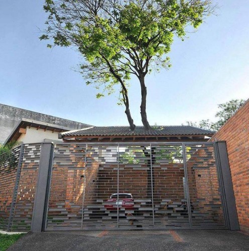 Save Trees Trees in the middle of the house 