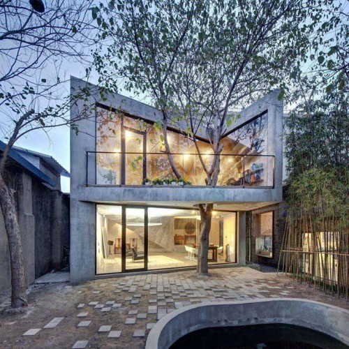 Save Trees Trees in the middle of the house 