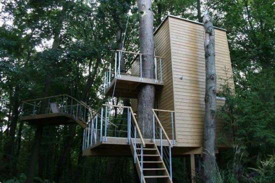 Save Trees Trees in the middle of the house 