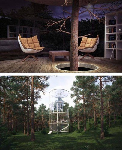 Save Trees Trees in the middle of the house 