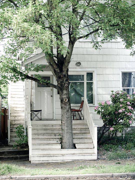 Save Trees Trees in the middle of the house 