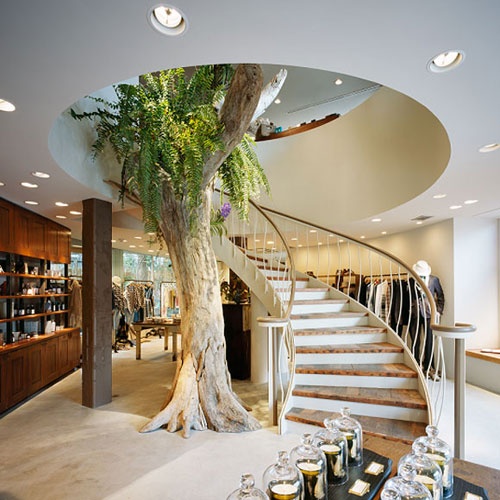 Save Trees Trees in the middle of the house 