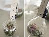 Creative Ideas To Reuse Old Bulb,Brilliant Ways to Repurpose Lightbulbs