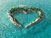 Natural Heart Lakes