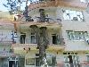 Save Trees Trees in the middle of the house 
