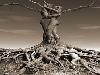 Weird and unusual artworks  worlds most bizarre statues and sculptures Strange Sculptures Around The Worl