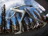 Weird and unusual artworks  worlds most bizarre statues and sculptures Strange Sculptures Around The Worl
