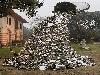 Weird and unusual artworks  worlds most bizarre statues and sculptures Strange Sculptures Around The Worl