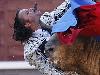 Worlds most dangerous animals  Most dangerous animal attacks Worlds most dangerous places   