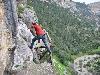 Worlds most dangerous animals  Most dangerous animal attacks Worlds most dangerous places   