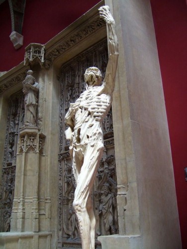 Weird and unusual artworks  worlds most bizarre statues and sculptures Strange Sculptures Around The Worl