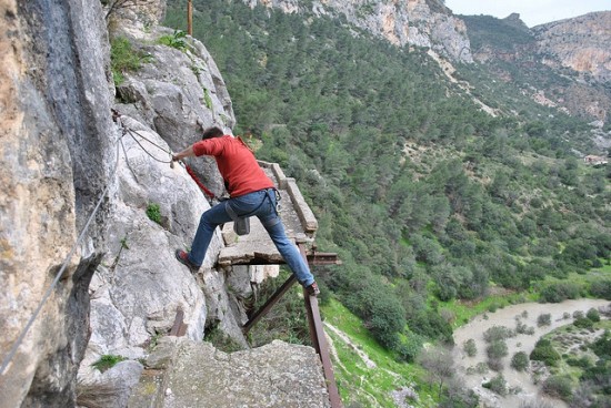 Worlds most dangerous animals  Most dangerous animal attacks Worlds most dangerous places   
