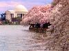 Most Beautiful Cities In The World