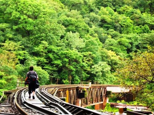 These Are The Lesser Known Trekking Destinations In South India