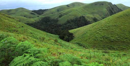 These Are The Lesser Known Trekking Destinations In South India