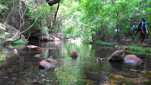 These Are The Lesser Known Trekking Destinations In South India