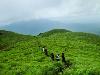 These Are The Lesser Known Trekking Destinations In South India