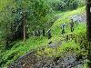These Are The Lesser Known Trekking Destinations In South India