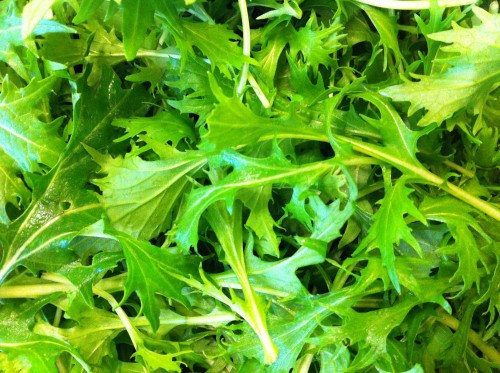 12 Vegetables That You Have Probably Never Heard Of