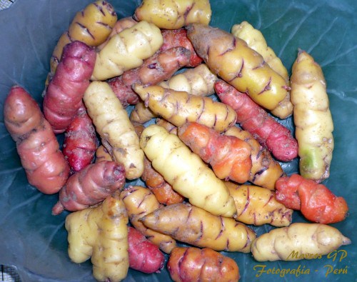 12 Vegetables That You Have Probably Never Heard Of