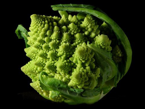 12 Vegetables That You Have Probably Never Heard Of