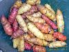 12 Vegetables That You Have Probably Never Heard Of