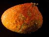 12 Vegetables That You Have Probably Never Heard Of