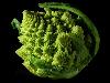 12 Vegetables That You Have Probably Never Heard Of