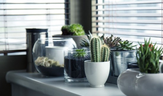 10 simple ways to heal your health with the help of nature