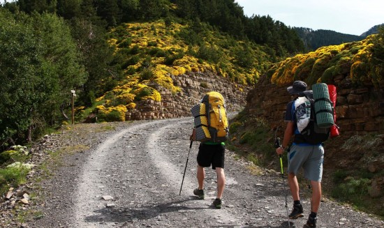 10 simple ways to heal your health with the help of nature