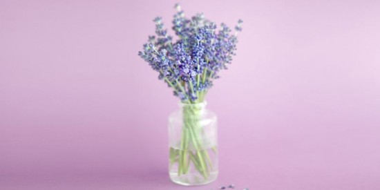 5 plants and flowers that will help you sleep better