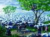 Illusion Images by Rob Gonsalves