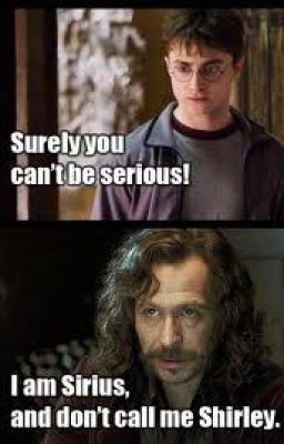 15 Jokes And Puns That Only Harry Potter Fans Can Appreciate