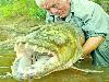 Worlds largest fishes found in river  Worlds largest fishes  Biggest fishes in the world