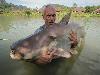 Worlds largest fishes found in river  Worlds largest fishes  Biggest fishes in the world