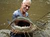Worlds largest fishes found in river  Worlds largest fishes  Biggest fishes in the world