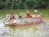 Worlds largest fishes found in river  Worlds largest fishes  Biggest fishes in the world