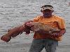 Worlds largest fishes found in river  Worlds largest fishes  Biggest fishes in the world