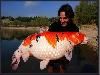 Worlds largest fishes found in river  Worlds largest fishes  Biggest fishes in the world