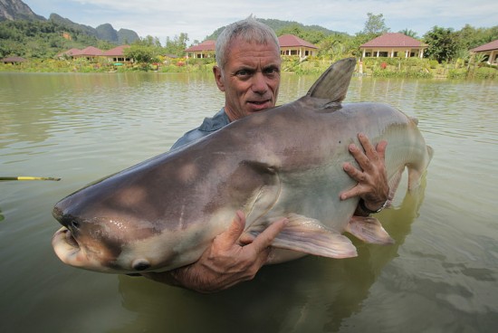 Worlds largest fishes found in river  Worlds largest fishes  Biggest fishes in the world