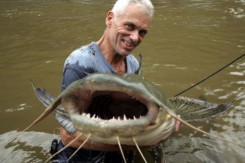 Worlds largest fishes found in river  Worlds largest fishes  Biggest fishes in the world