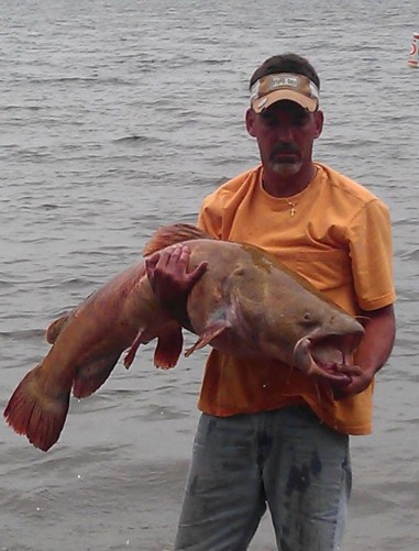 Worlds largest fishes found in river  Worlds largest fishes  Biggest fishes in the world