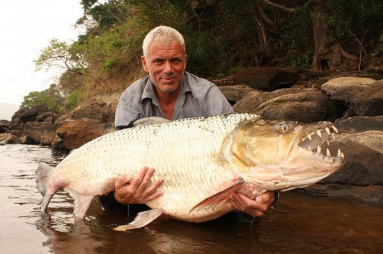 Worlds largest fishes found in river  Worlds largest fishes  Biggest fishes in the world